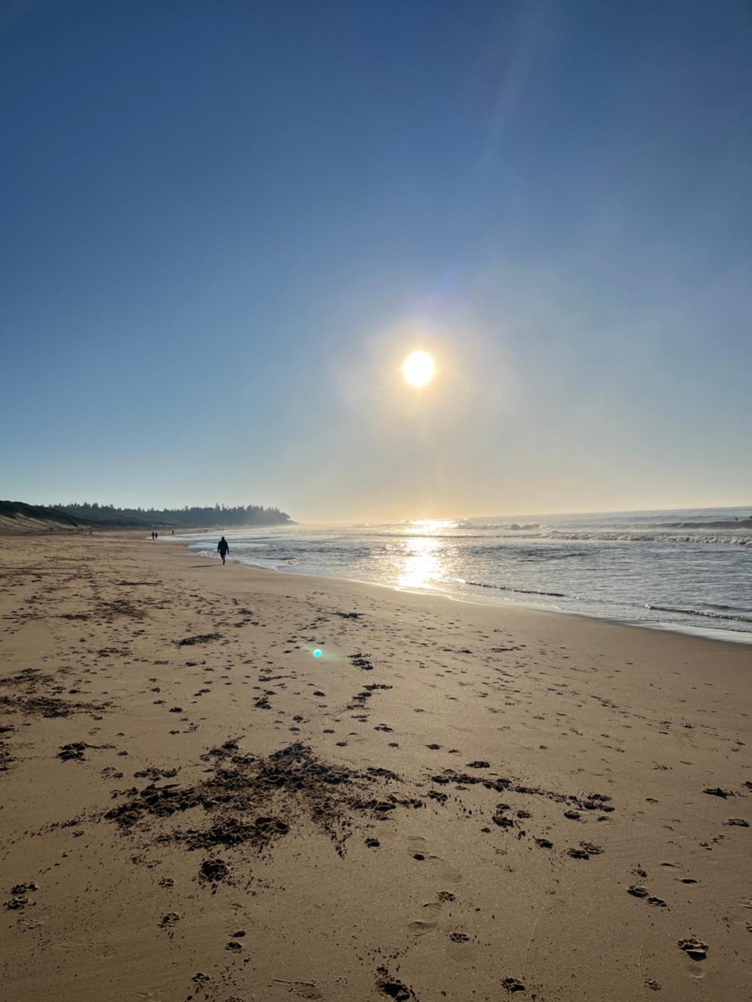 Blue Lagoon Beach Resort Bateau Bay Exterior foto